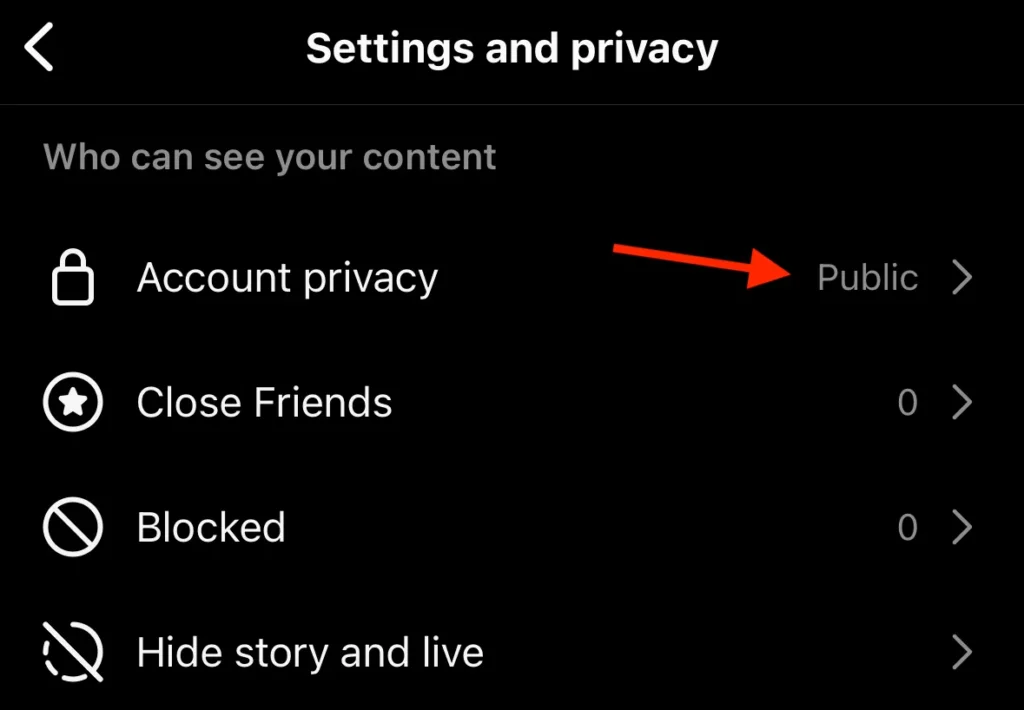 Instagram Privacy Settings