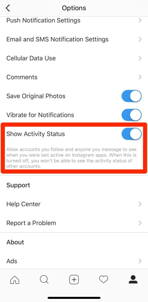 Understanding Instagram Notification Settings for Active Status