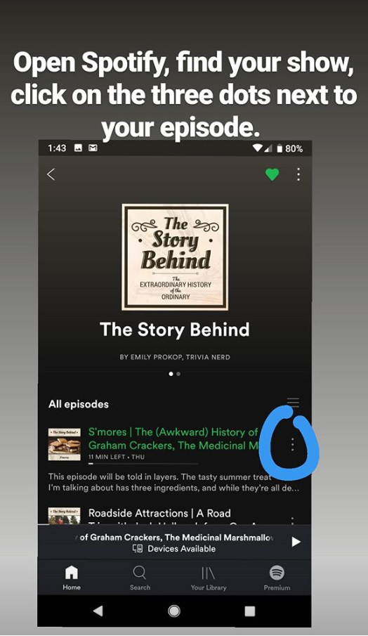 Share Podcast Episodes on Instagram