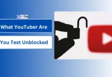 What YouTuber Are You Test Unblocked