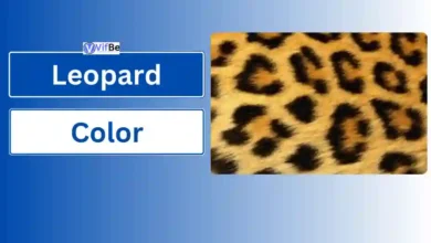 Leopard Color