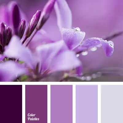 Dark Mauve Color Complementary Colors