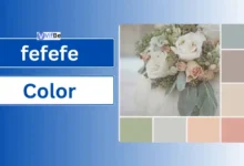 fefefe Color