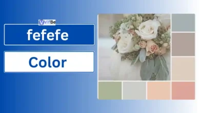 fefefe Color