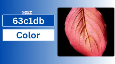 63c1db Color