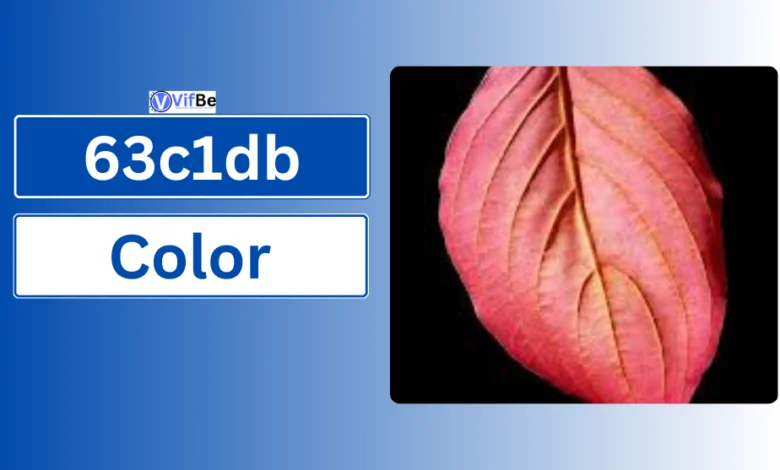 63c1db Color