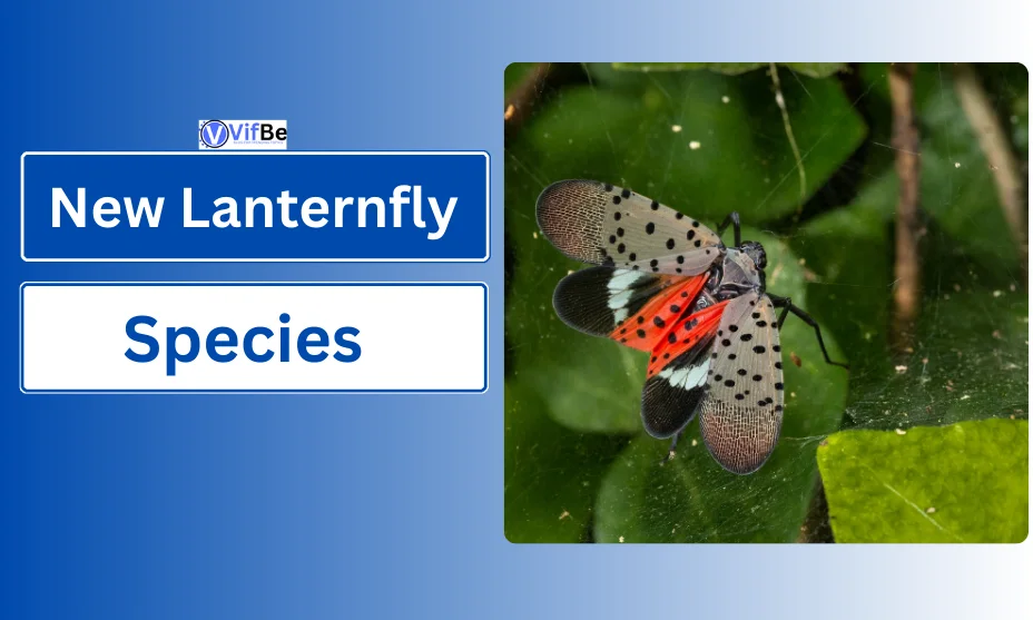 New Lanternfly Species